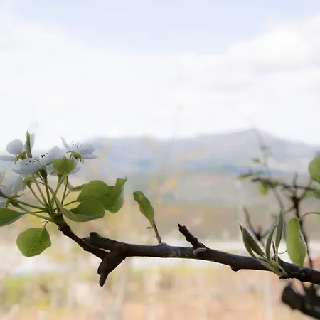 Casas Do Paco - 4* كابيسيراس دى باستو