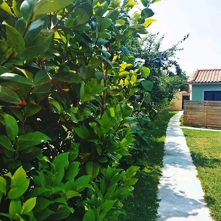 Casas Do Paco - Cabeceiras de Basto