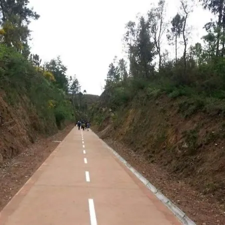 Casas Do Paco - ゲストハウス カベセイラス・デ・バスト