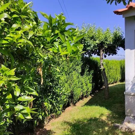 بيت ضيافة Casas Do Paco -