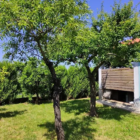 Casas Do Paco - كابيسيراس دى باستو