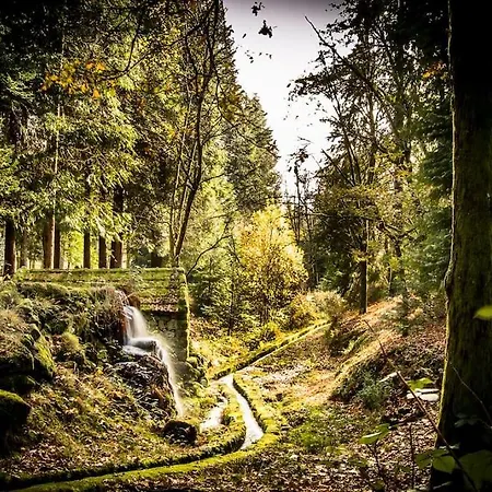 Casas Do Paco - ゲストハウス