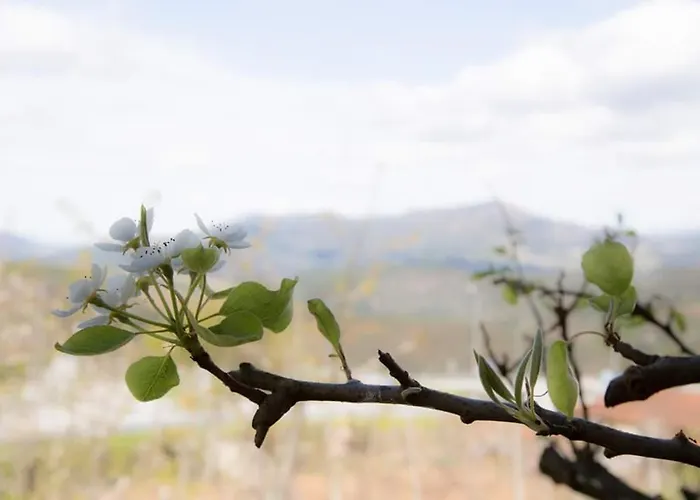 Casas Do Paco - 4* Cabeceiras de Basto