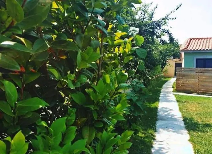 Casas Do Paco - Cabeceiras de Basto