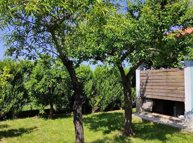 Casas Do Paco - Cabeceiras de Basto